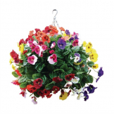 22 Mixed Colours Pansy Ball